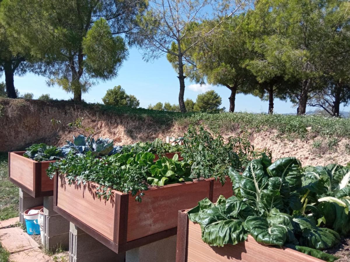 Romegosa Benestar Villa Sant Marcal Kültér fotó