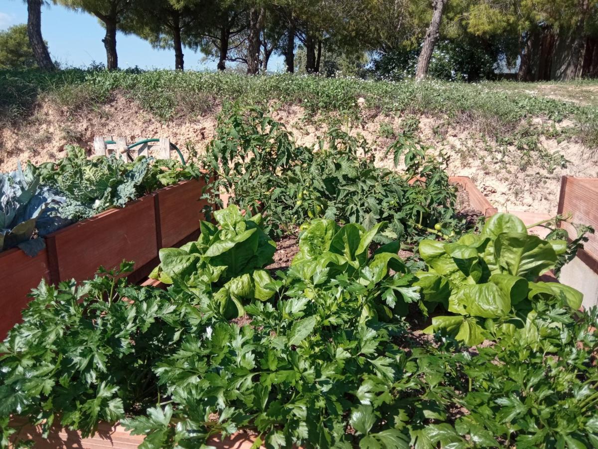 Romegosa Benestar Villa Sant Marcal Kültér fotó